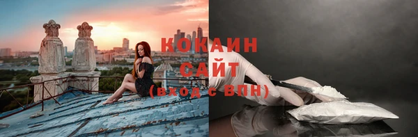 прущие грибы Беломорск