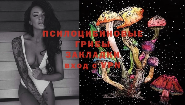 каннабис Богданович