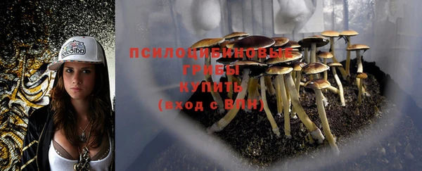 синтетический гашиш Белокуриха