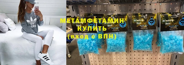 прущие грибы Беломорск