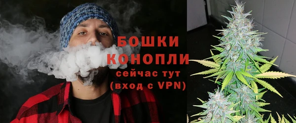 прущие грибы Беломорск