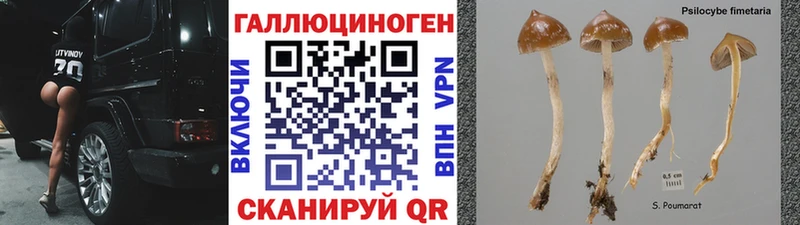 Псилоцибиновые грибы мицелий  Белово 